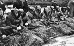 The 1945 Rams, Huddled up in the cold during the championsip game
